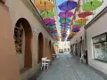 Kolorowe parasole nad uliczką w Tarnowie. Idealne na weekendowe atrakcje i spacer.