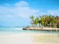 Piękna plaża z palmami i turkusową wodą. Marzysz o podróży? Sprawdź, ile się leci na Zanzibar!