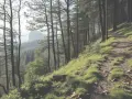 Jak dojechać do Koziej Góry - najłatwiejsze trasy i wskazówki
