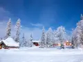 Zimowy krajobraz, gdzie jest Laponia: zasypane śniegiem domki i drzewa pod nocnym, gwiaździstym niebem.