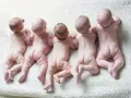 Dlaczego dziecko śpi z pupą do góry? Odkryj przyczyny i bezpieczeństwo