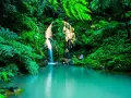 Wodospad na Azorach, co zobaczyć: bujna zieleń, turkusowa woda i złota skała tworzą magiczny krajobraz.