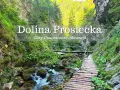 Malownicza Dolina Prosiecka w słowackich górach. Drewniany chodnik wije się wzdłuż potoku, otoczony bujną zielenią i skalnymi ścianami.