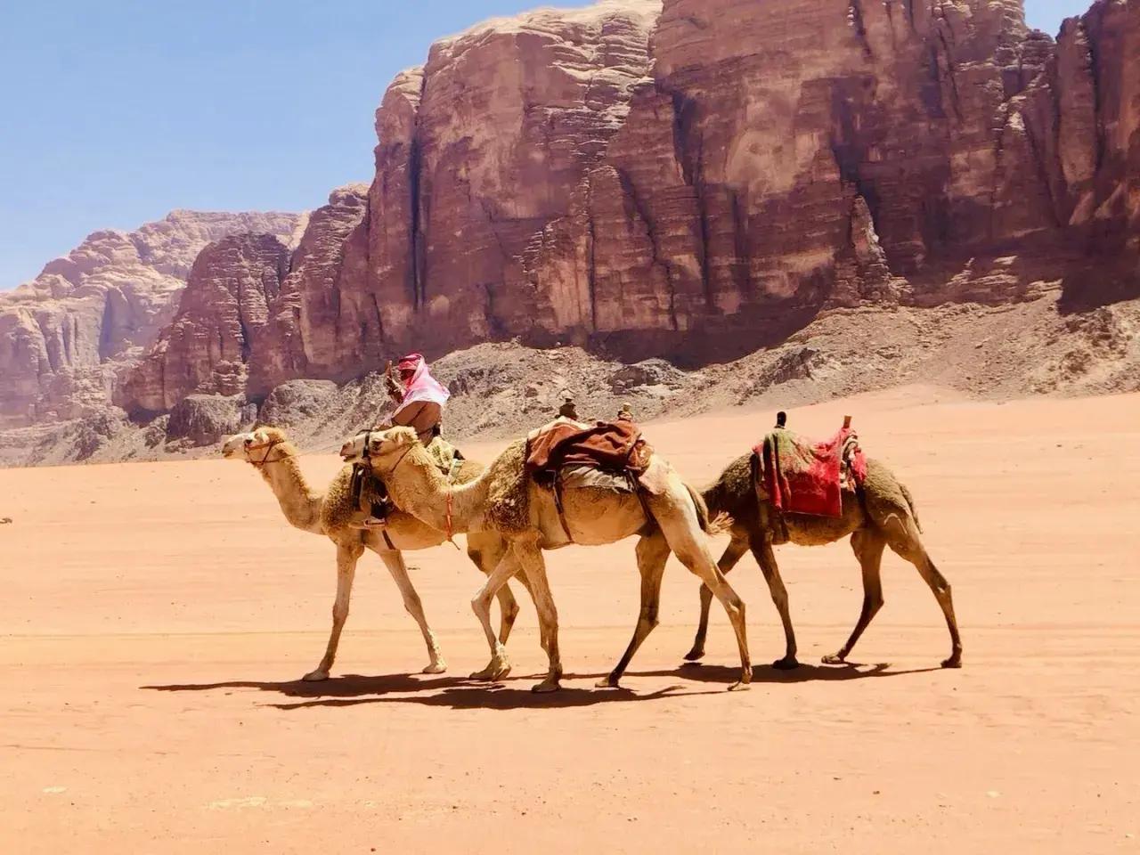 Jordania zwiedzanie: karawana wielbłądów przemierza pustynię Wadi Rum, podziwiając monumentalne skalne formacje.