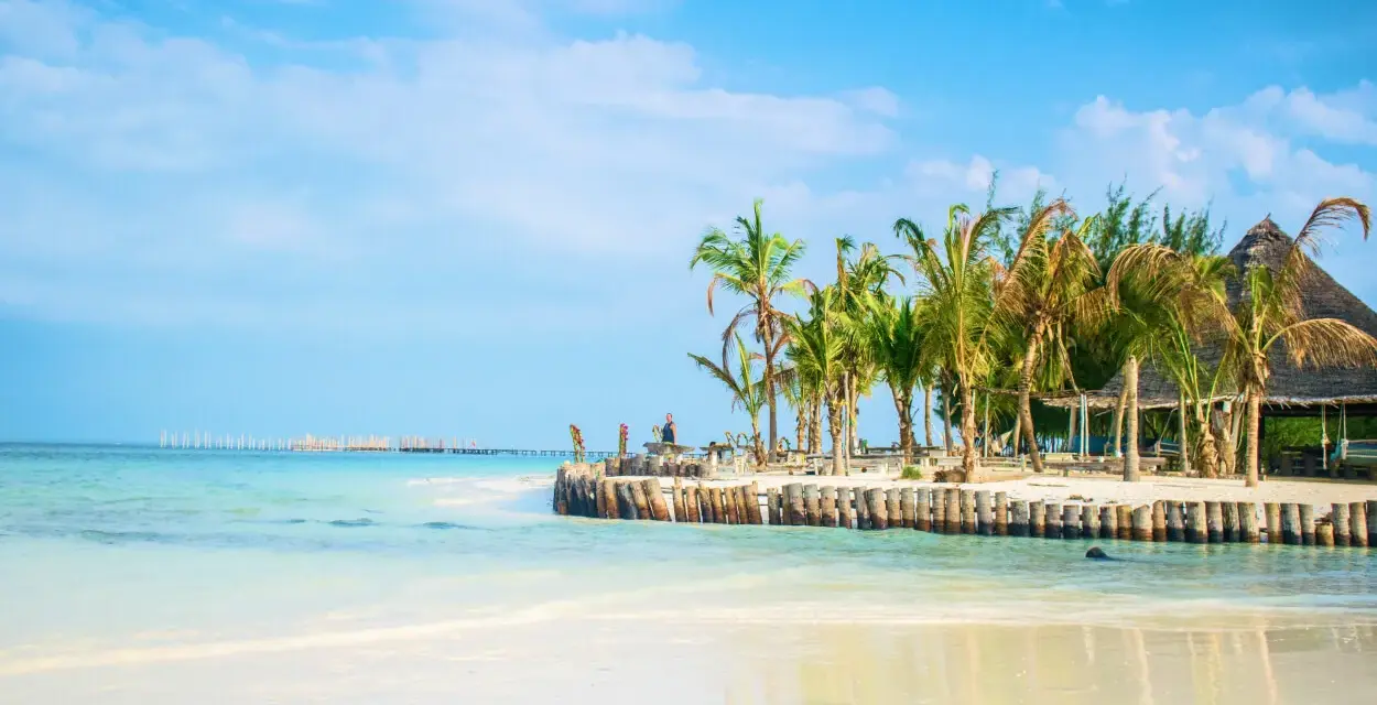 Piękna plaża z palmami i turkusową wodą. Marzysz o podróży? Sprawdź, ile się leci na Zanzibar!