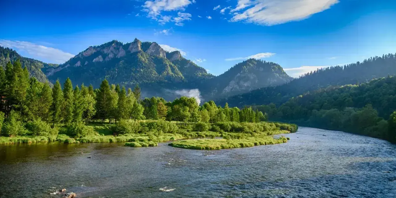 Dunajec w Pieninach, jedno z 7 najpiękniejszych miejsc w Polsce. Góry, rzeka i zieleń tworzą malowniczy krajobraz.