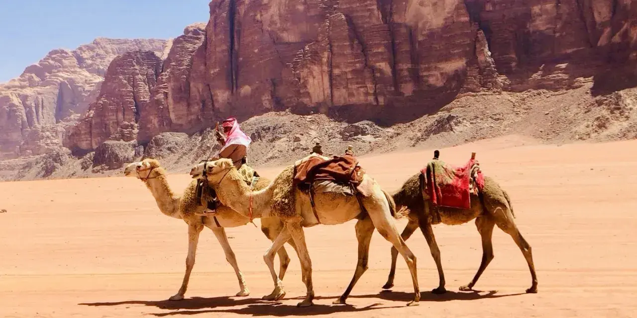 Jordania zwiedzanie: karawana wielbłądów przemierza pustynię Wadi Rum, podziwiając monumentalne skalne formacje.