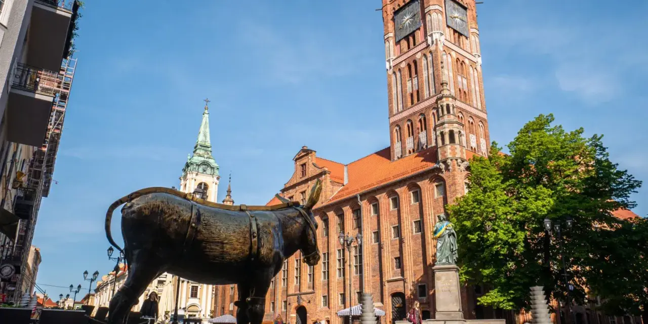 Pomysł na co w Toruniu na weekend? Zobacz posąg osła na Rynku Staromiejskim, obok ratusza i kościoła.
