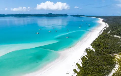 Rajskie australia plaże z turkusową wodą i białym piaskiem, na tle zielonych wzgórz. Wiele jachtów kołysze się na falach.