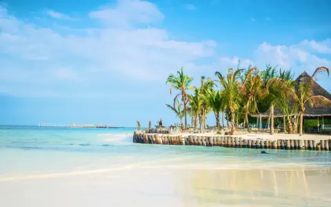 Piękna plaża z palmami i turkusową wodą. Marzysz o podróży? Sprawdź, ile się leci na Zanzibar!
