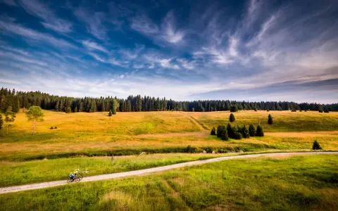 Dwaj rowerzyści przemierzają polną drogę wśród zielonych łąk i lasów. Słońce maluje krajobraz w odcieniach złota i rudawy.