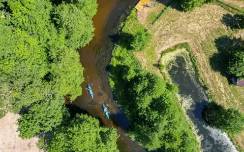 Spływ kajakowy rzeką to jedna z pięknych kociewie atrakcji. Dwie kajaki płyną wśród zielonych drzew.