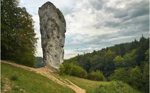 Maczuga Herkulesa, wysoka skała wapienna, stoi samotnie na tle zielonego lasu i burzowego nieba.
