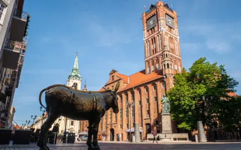 Pomysł na co w Toruniu na weekend? Zobacz posąg osła na Rynku Staromiejskim, obok ratusza i kościoła.