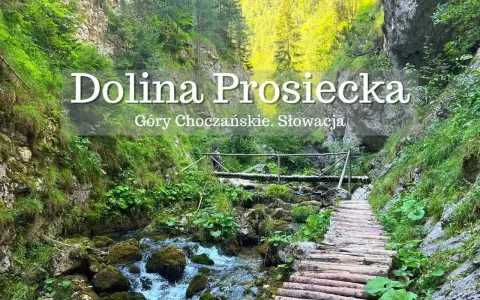 Malownicza Dolina Prosiecka w słowackich górach. Drewniany chodnik wije się wzdłuż potoku, otoczony bujną zielenią i skalnymi ścianami.