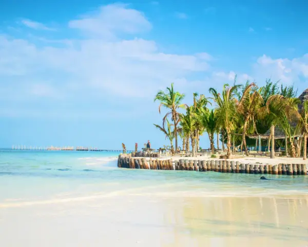 Piękna plaża z palmami i turkusową wodą. Marzysz o podróży? Sprawdź, ile się leci na Zanzibar!