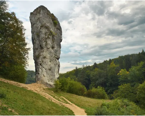 Maczuga Herkulesa, wysoka skała wapienna, stoi samotnie na tle zielonego lasu i burzowego nieba.