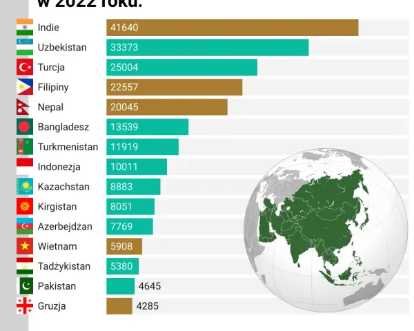 Imigranci w Polsce z jakich krajów? Zaskakujące dane i statystyki