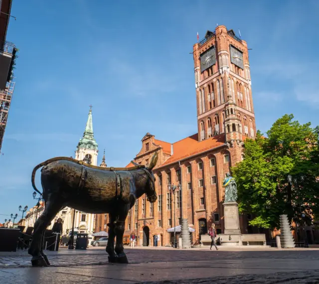 Pomysł na co w Toruniu na weekend? Zobacz posąg osła na Rynku Staromiejskim, obok ratusza i kościoła.