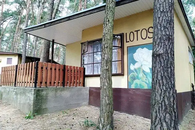 Zdjęcie Noclegi Przyczyna Górna - najlepsze oferty na udany wypoczynek