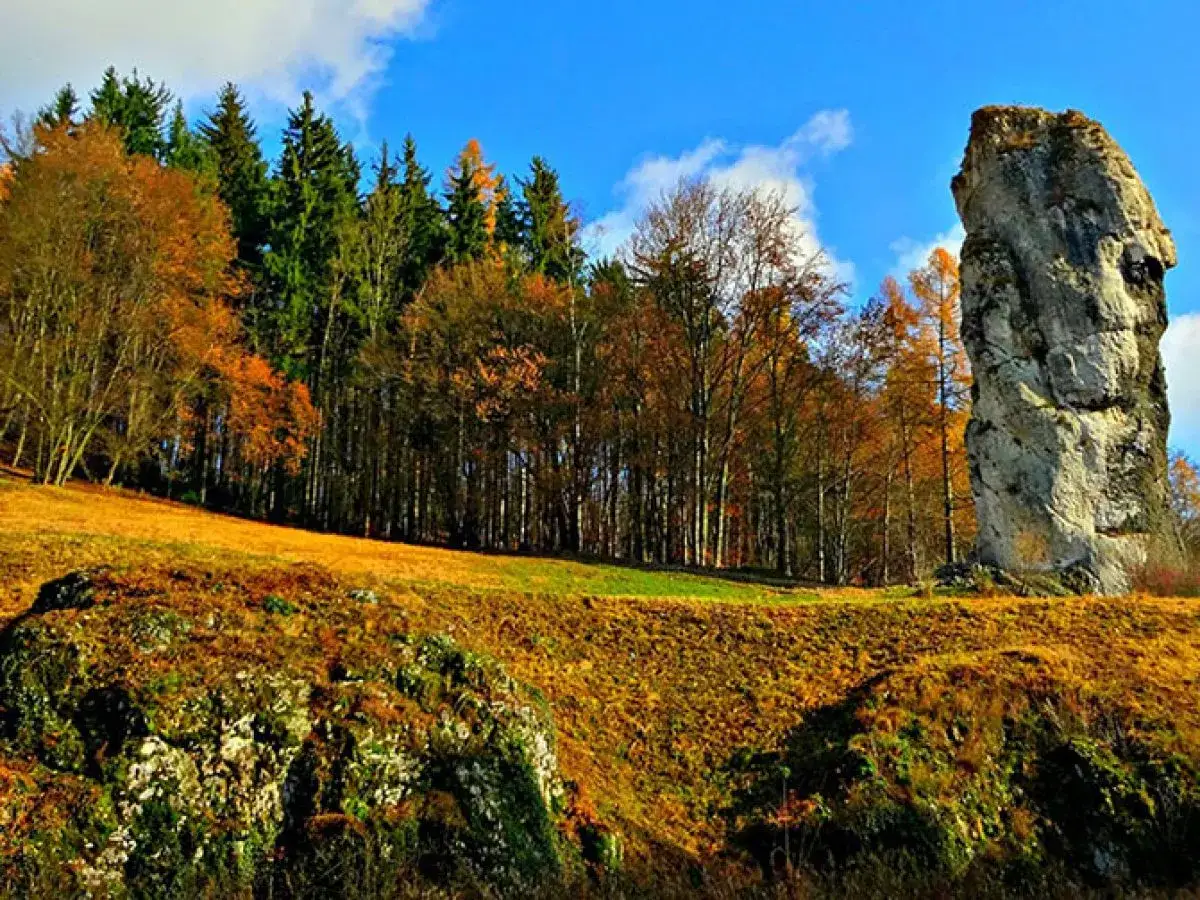 Maczuga Herkulesa, potężna skała, stoi dumnie na tle jesiennego lasu. Gdzie jest? W Ojcowskim Parku Narodowym.