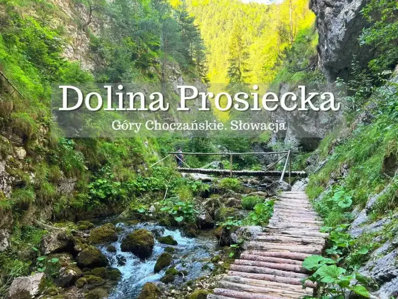 Malownicza Dolina Prosiecka w słowackich górach. Drewniany chodnik wije się wzdłuż potoku, otoczony bujną zielenią i skalnymi ścianami.